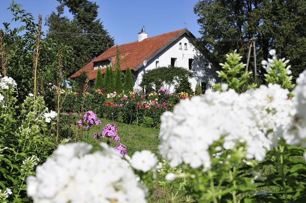 Agroturystyka Orzechowe Wzgorze Orzechowo  Экстерьер фото